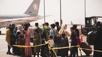 過去1週間で20人が死亡、カブール国際空港の運営が停止