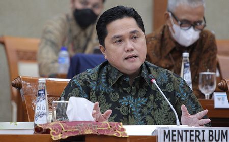 Erick Thohir: Kebutuhan Sapi Indonesia Mengkhawatirkan, 96 Persen Impor!