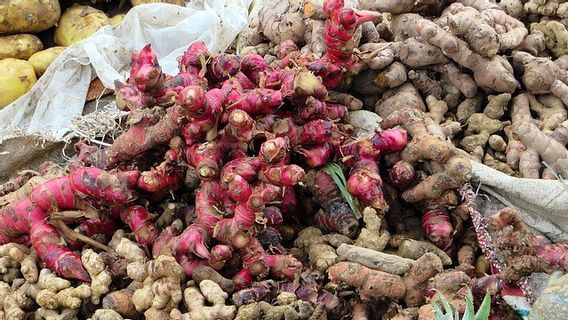 Di Bangka Belitung, Jahe Merah Laku Rp150.000 per Kilogram