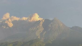 Kabar Merapi Hari Ini: Awan Panas Guguran Gunung Merapi Meluncur Sejauh 3.000 Meter