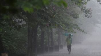Cuaca 6 Februari, Hujan Ringan hingga Sedang Landa Jakarta Selasa Siang