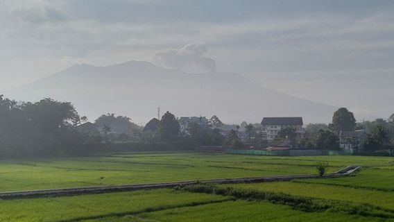 PVMBG Wanti-wanti Ancaman Gas Mendadak dari Kawah Gunung Tandikat di Sumbar