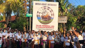 Berita Bali Terkini: Warga Intaran Perbanyak Baliho Penolakan Pembangunan Terminal LNG di Kawasan Mangrove 