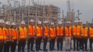 5 Smelter Mineral Logam Capai Progress di Atas 50 Persen