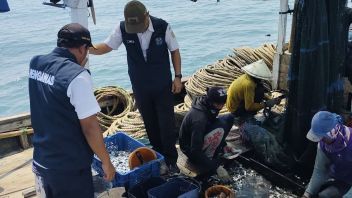 9 navires de pêche arrêtés par le sudin KPKP des Mille-Îles