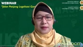 Worried About A Lot Of 'Illicit Passengers', UGM Professors Ask For Marijuana Not To Be Legalized Even For Medical Purposes