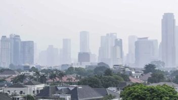卫生部长透露PM 2.5污染的危害