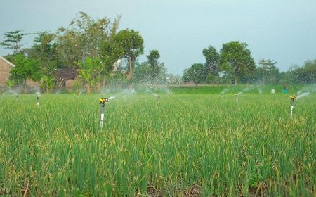 Program Electrifying Agriculture PLN Capai 230 Ribu Pelanggan Hingga Triwulan III 2023