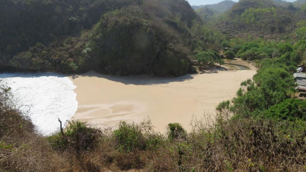 Guru Besar UGM Prof Samekto Meninggal Terseret Ombak di Pantai Gunungkidul