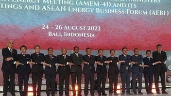 Kementerian ESDM Tegaskan Pemerintah Tidak Intervensi Skema Pembiayaan Transisi Energi di ASEAN