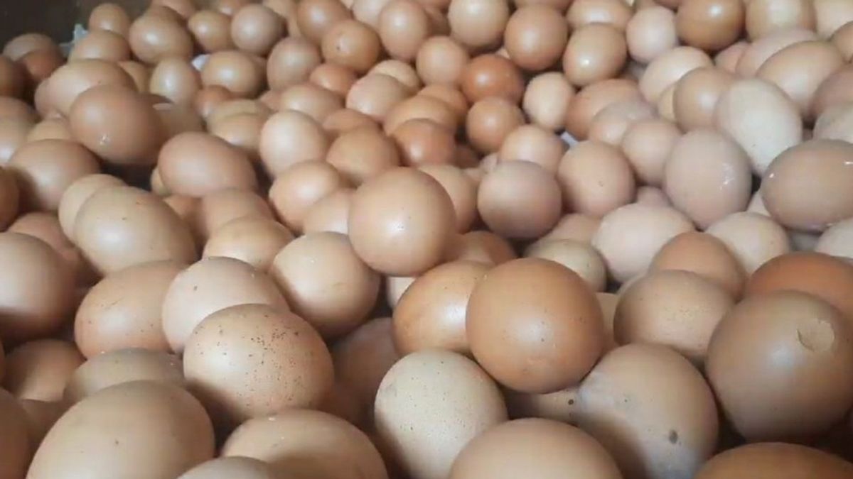 Hari Kedua Puasa, Harga Telur Ayam Tembus Rp32 Ribu Perkilogram, Lebaran Bakal Naik Lagi