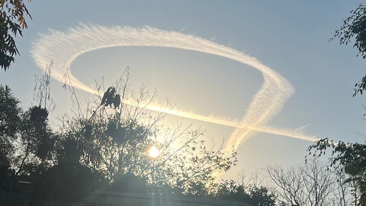 ar sur le ciel d'Israël : des enquêteurs militaires tombent les mains d'un avion en bande