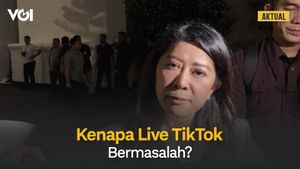 Tidak Bisa Live TikTok Saat Demo, Menkomdigi: Mereka Melakukan Secara Sukarela