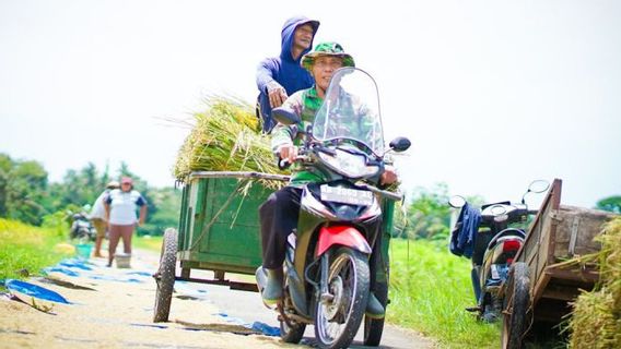 Kementan: Ketahanan Pangan RI Lebih Terjaga dibanding Filipina