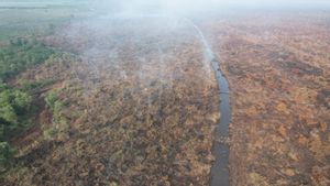  Petugas Gugur, Komisi IV DPR Minta Pemerintah Beri Jaminan Asuransi Bagi Pemadam Karhutla