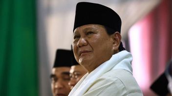Prabowo Concerning His Vice Presidential Candidate In The 2024 Presidential Election: Never Mind You, I Don't Even Know Who