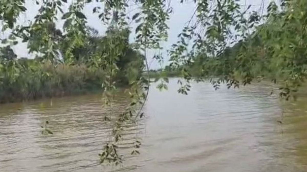 Jasad Pelajar SD Korban Terkaman Buaya di Sungai Sangatta Ditemukan