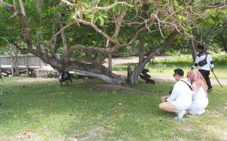 Organisasi Pariwisata di Labuan Bajo Sudah Sepakat Menolak Kenaikan Harga Tiket Pulau Komodo