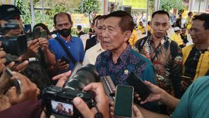 Ditolak Megawati, Eks Gubernur Mangku Pastika Tegaskan Bandara Bali Utara Jadi Mimpi Warga Buleleng