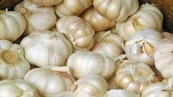 Anticipating Inflation, Garlic Imports Must Be Opened If There Is Scarcity in the Market