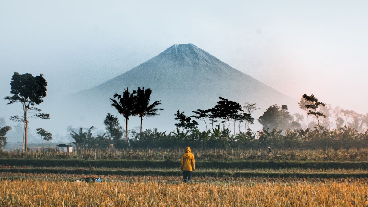 Un Concours De Vidéo Et De Photographie Devrait Aider L’image Touristique De L’Indonésie