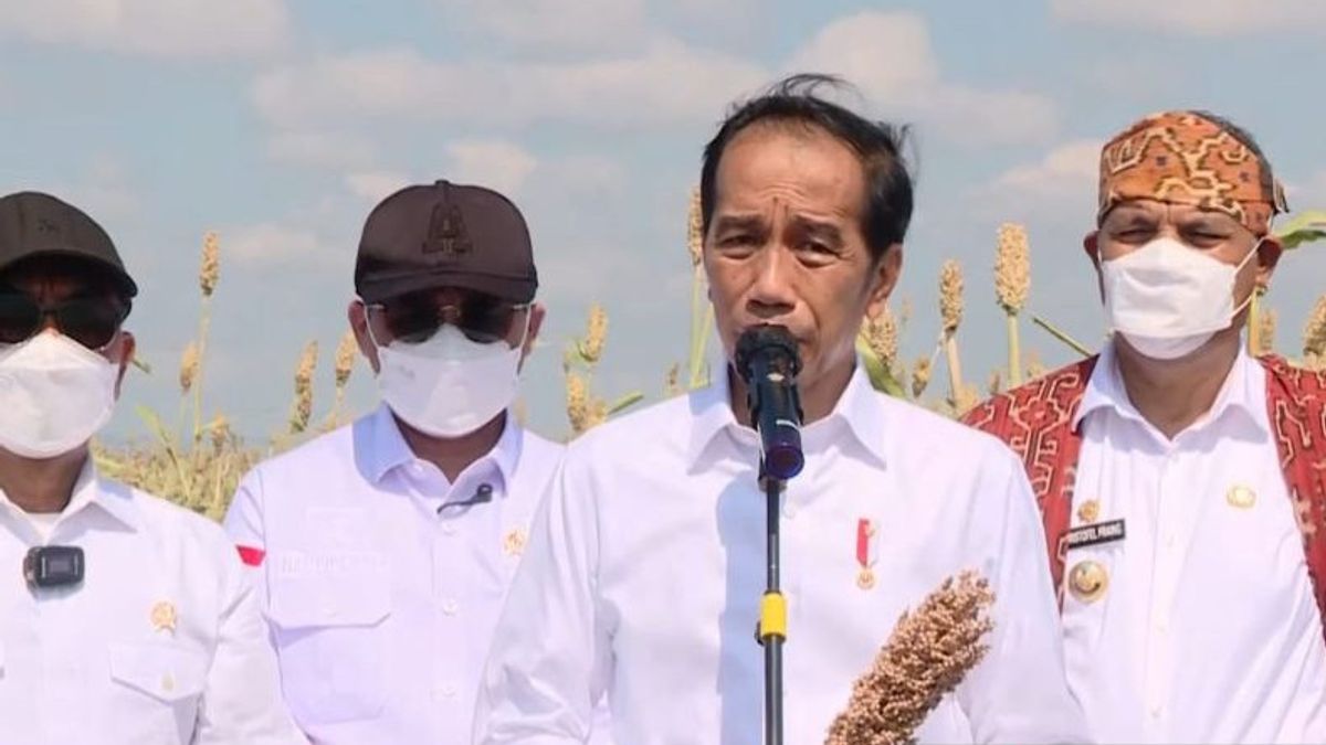 佐科威总统希望扩大NTT的高粱种植以减少小麦进口
