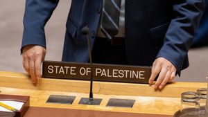 本月,爱尔兰外交部长接受巴勒斯坦国:我们支持决定自己命运的权利