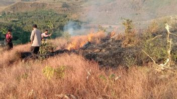 3 Jam, Polisi di Dompu NTB Berjibaku Padamkan Api Gunakan Ranting Pohon Muda