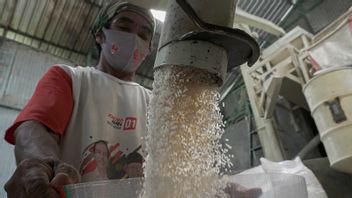 Curhat, Sulit 制造商 向现代零售提供高级大米,因为HET 不合适 生产成本