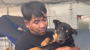 Sudah Beroperasi Selama 40 Tahun, Rumah Jagal Anjing di Surabaya Digrebek
