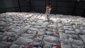 Patahan Beras Jadi Cara untuk Bedakan Beras Oplosan dan Premium