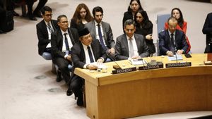 Indonesia Minta Dewan Keamanan PBB Tegas, Dubes Umar: Tidak Boleh Ada Serangan Lagi