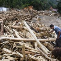 Kemenhut Pastikan Kayu di Lampung Bukan Hanyut Akibat Banjir Sumatera