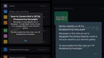 Utamakan Privasi Pengguna, WhatsApp Perbarui Opsi Visibilitas Medianya