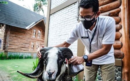 Sandiaga Uno Mau 'Serbu' Garut dengan 'Serangan Pariwisata', Apa Itu?