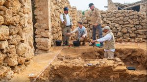 Joint Archaeologists Team From Saudi Arabia And France Reveal Ancient Sites On Farasan Island