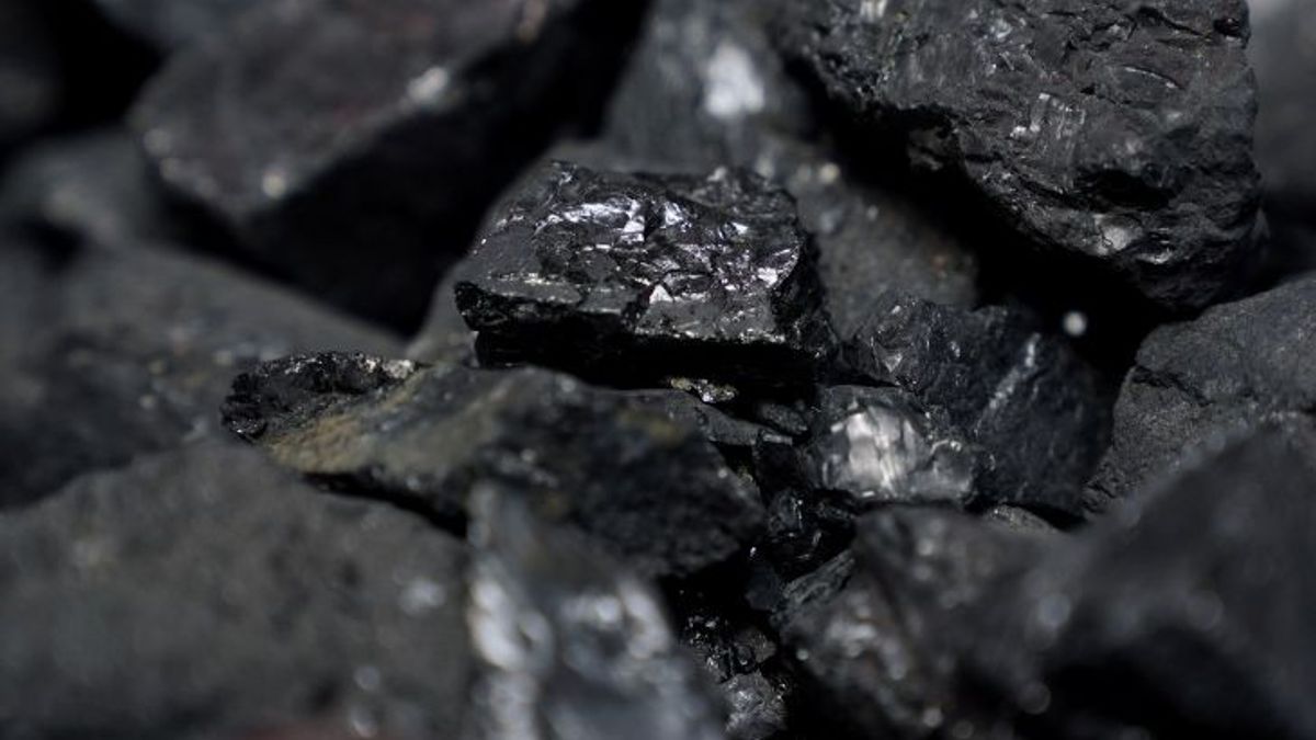 Celios Releases 7 Lists Of Interesting Findings Regarding The Zero Percent Royalty Policy For Coal Downstreaming