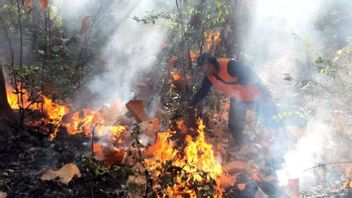 シトゥボンドの森林火災と土地火災 5ヘクタールのチーク材を燃やす