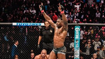 Almost Definitely Against Deontay Wilder In The Boxing Ring, Francis Ngannou: I'll Cut Someone Off