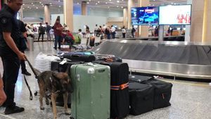 Barang yang Sering Disita saat Naik Pesawat, Catat Daftarnya 