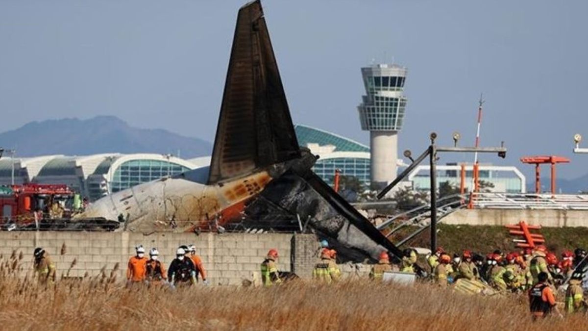 Damkar Jeolla Sebut 2 dari 181 Penumpang Jeju Air Berhasil Diselamatkan