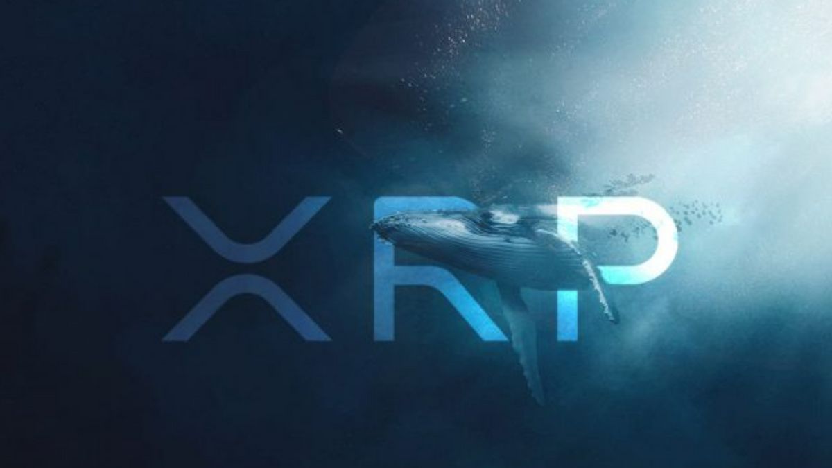 Crypto Whale Moves 196 Million XRP Coins Worth IDR 1.4 Trillion To Dompat Crypto Anim