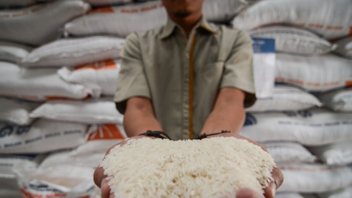 Rice Imports Rise Capai 3.22 Million Tons