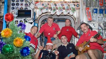 ISSの7人の宇宙飛行士が宇宙でパーティーにクリスマスプレゼントと食べ物を手に入れる