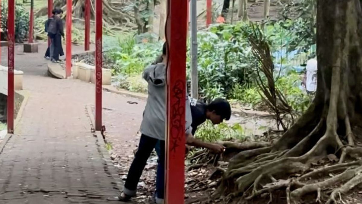 ジャガットコインが公共施設を破壊する狩行動、誰かが危害を受けた場合、警察は調査