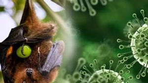 Tahapan Gejala Virus Nipah dari Hari ke Hari, Biasanya Dimulai dengan Demam Tinggi