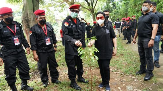 Prêt à « Salir » Nettoyer Et Planter Des Arbres Dans Le Bassin Versant De Ciliwung, La Ministre Yasonna : PDIP Ses Vêtements Sont Rouges Mais Se Soucient Du Vert