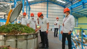 Perhutani Revitalisasi Pabrik Minyak Kayu Putih di Ponorogo Jawa Timur