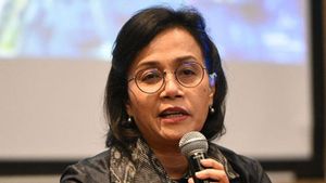 Sri Mulyani Menyatakan Pentingnya Pembangunan SDM untuk Kemajuan Sebuah Negara