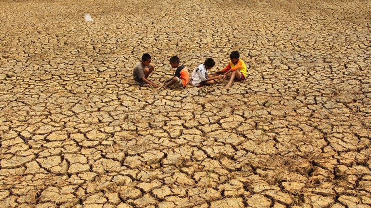 BMKG : Les sécheresses dominent la région indonésienne en juin-septembre 2024